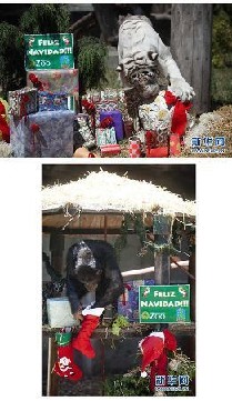 �յ�ʥ������Ķ�����--���ͼƬ