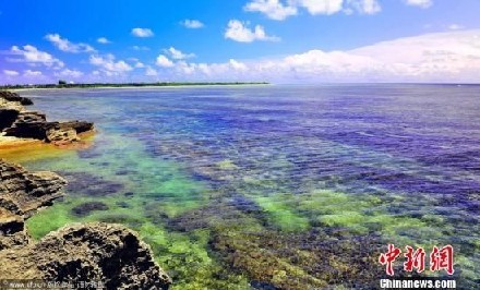 �������׿��ſ�����ɳȺ�����β�ҵ--���ͼƬ