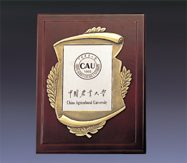 �������/��ͭ