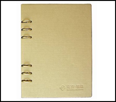 32��6�׻�ҳ�ʼǱ�