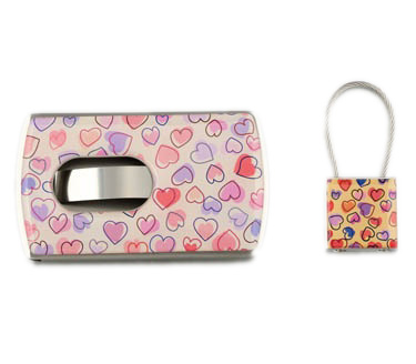 ���������Ƭ����װ